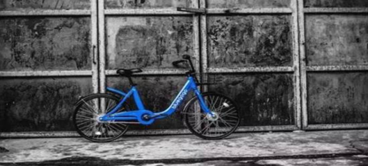 對外經(jīng)濟貿(mào)易大學就業(yè)創(chuàng)業(yè)指導中心共享軟件開發(fā)項目